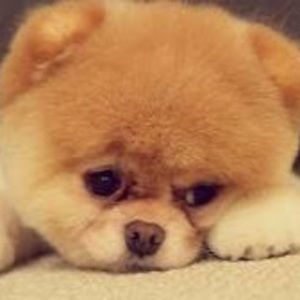 Meet your Posher, Colton